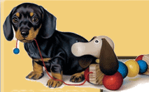 TUTTOANIMALI.IT - Homepage